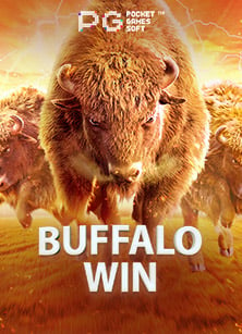 วิธีเล่นเกม joker www ง่ายๆ สำหรับมือใหม่